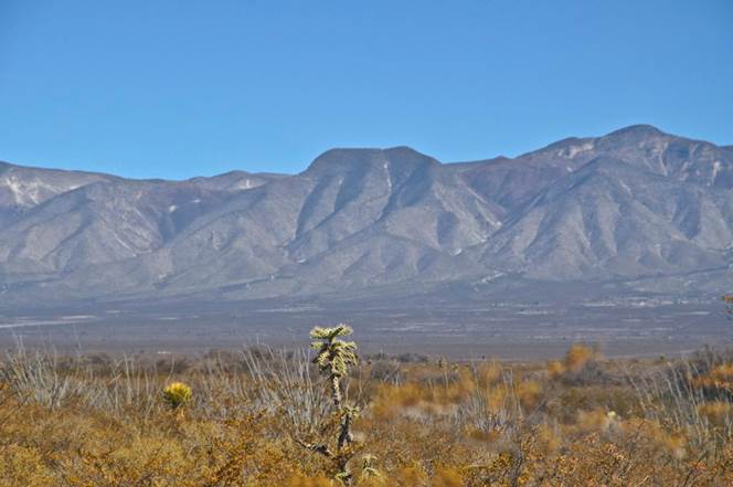 Descripcin: Resultado de imagen para SIERRA DE CATORCE SAN LUIS POTOSI