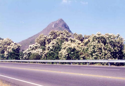 Descripcin: Cerro de la campana, Culiacn, Sinaloa